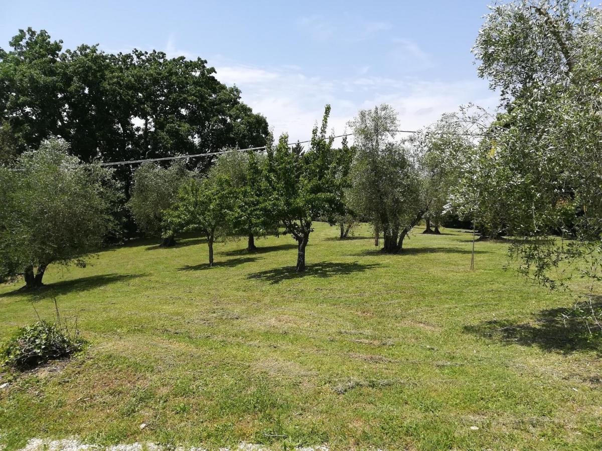 Umbria Country B&B Giove Exterior photo