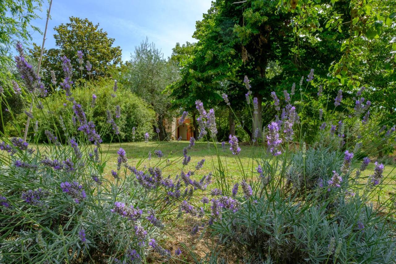 Umbria Country B&B Giove Exterior photo